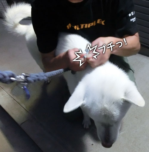 2014051201