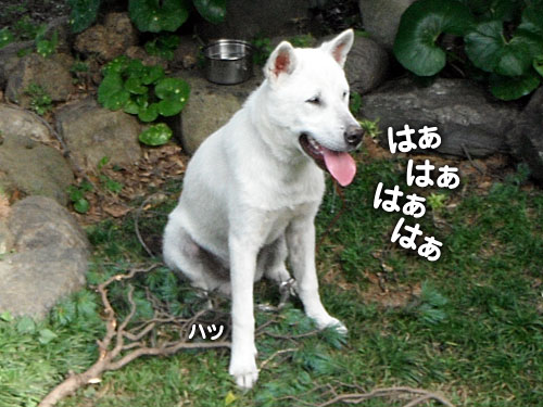 e47c83c1.jpg