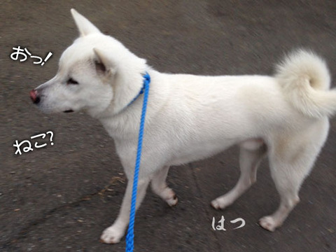 2013102402