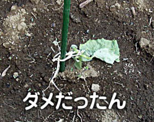 e5af0c95.jpg