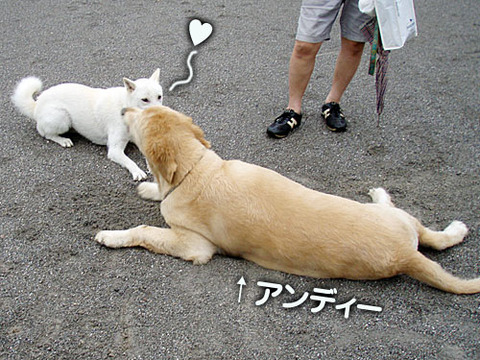 2011072002