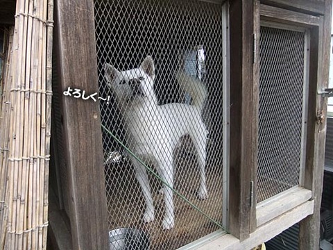 2011102403