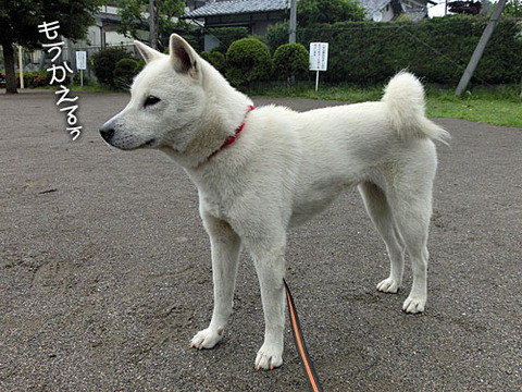 2013052205