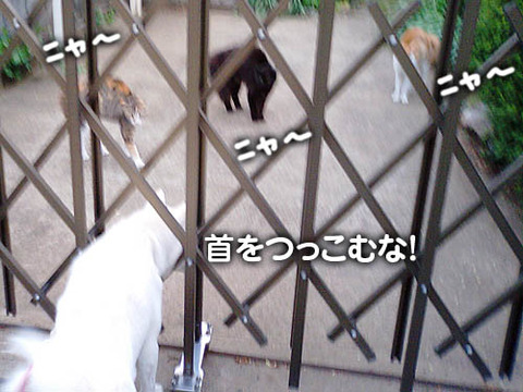 2011051704