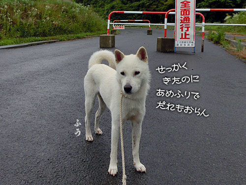 2015070501