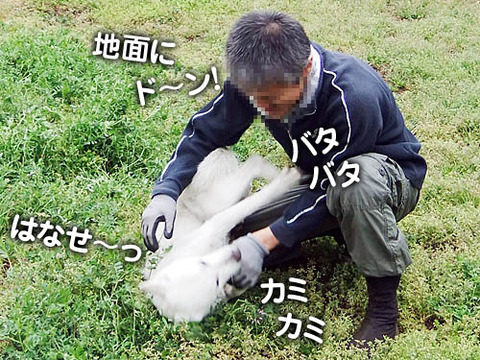 2011042306