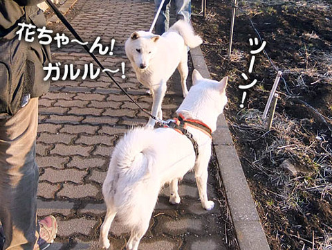 2011021307