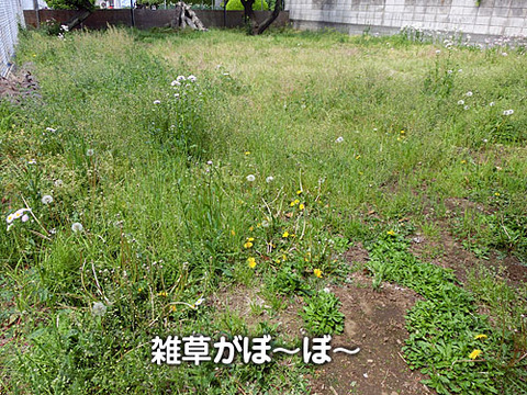 2013050401