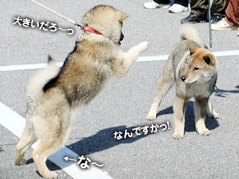 2011031406