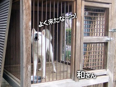 2011102412