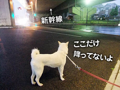 2011051301