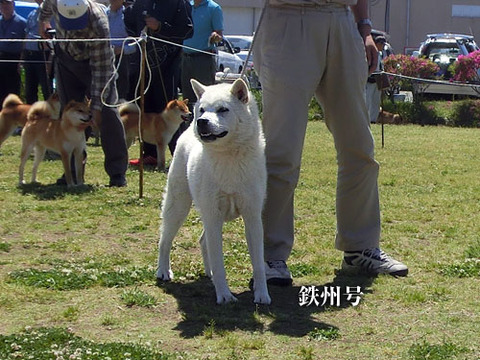 2013051303
