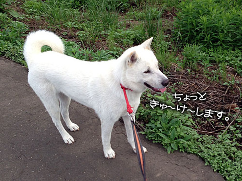 2013061502