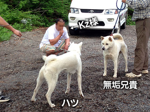 2013061813