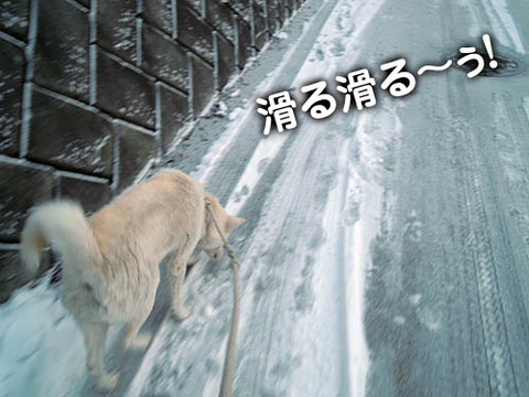 2011013013