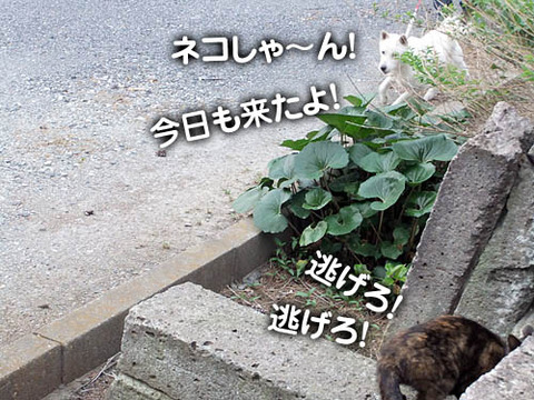 2011051509