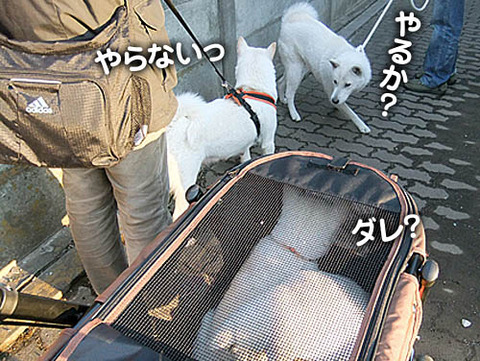 2011021309