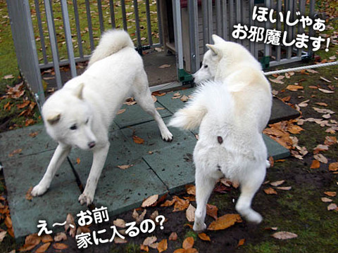 2010111705