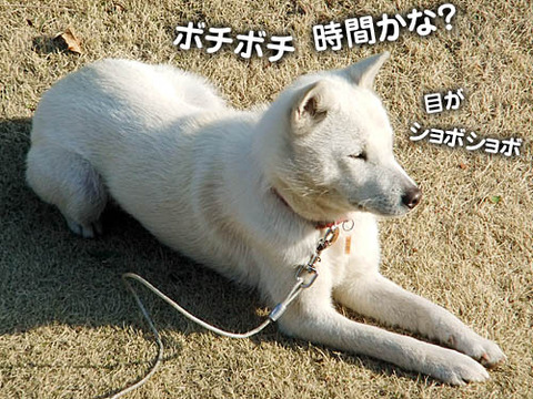 2011032407