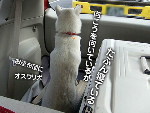 2011021102