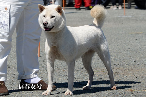 2014091704