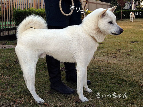 2013112509