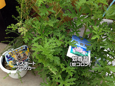 2013061304