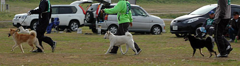 2011112904