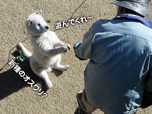f0e601e5.jpg