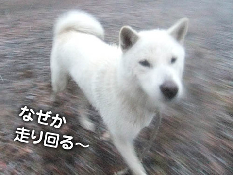 2011021303