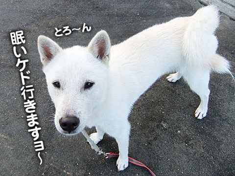 2011072501