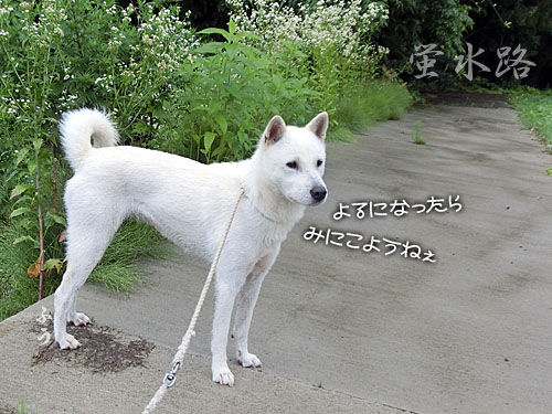 2015070502
