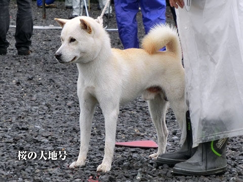 2014090806