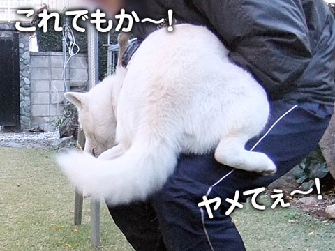 2010113010