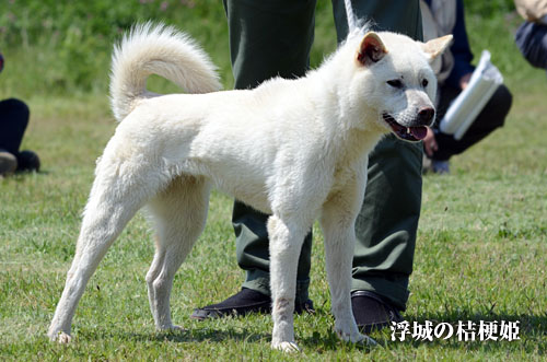 2014050803