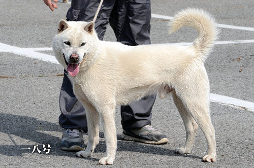 2014031114