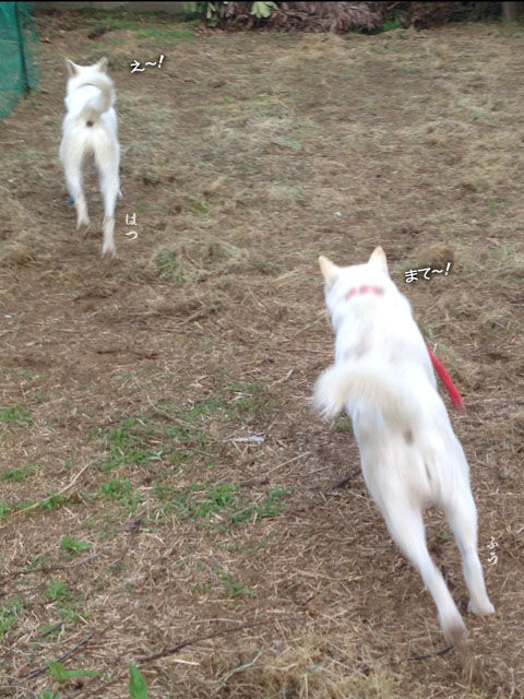 2014052503