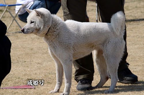 2014031811