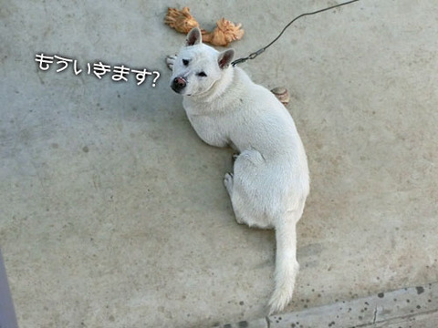 2013062202