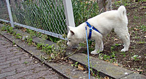 2010042703