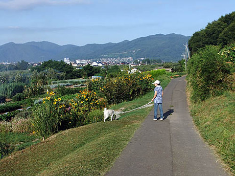 2010082903