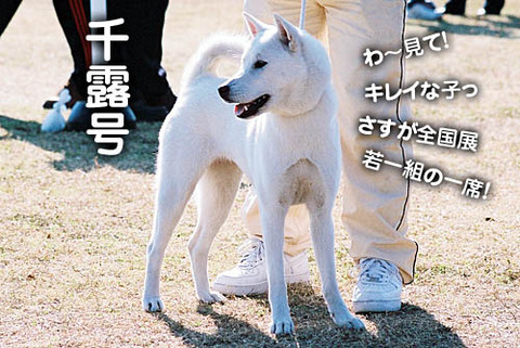 2010112602