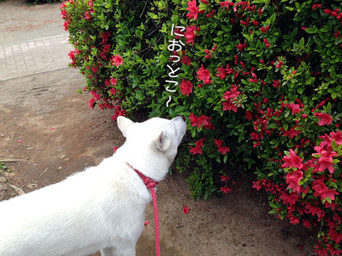 2013041005