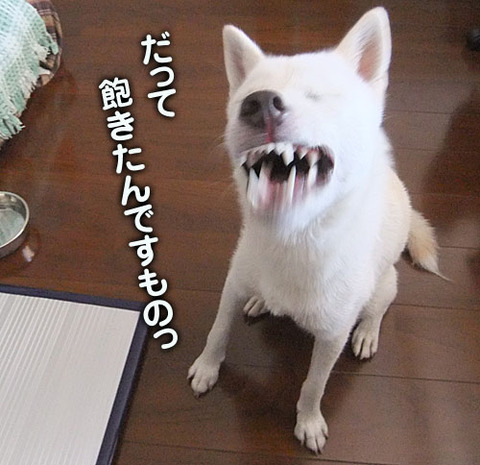 2011071807