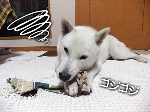 2010111002