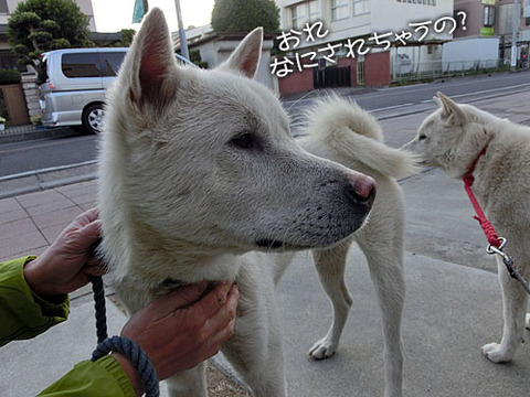 2013050806