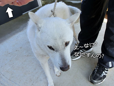 2013041103