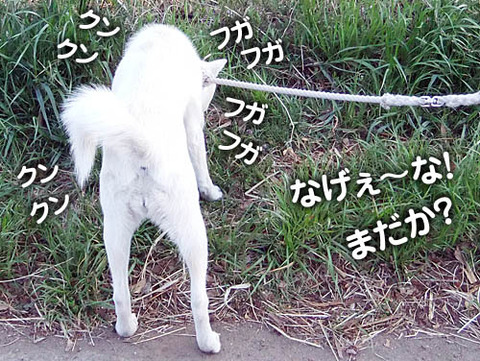 2011041508