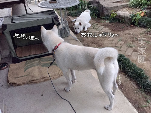 2016081505