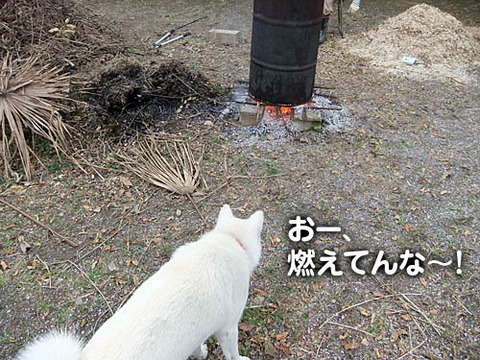 2010121705